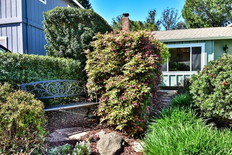 Photo of 743 Paula Lane, Petaluma, CA 94952 (MLS # 326021825)