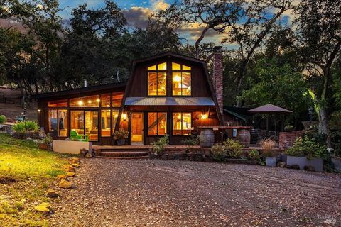 Photo of 350 Canyon Road, Geyserville, CA 95441 (MLS # 326019135)