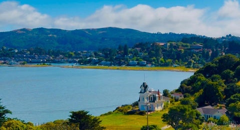 Photo of 14 Janet Way #149, Tiburon, CA 94920 (MLS # 326027267)