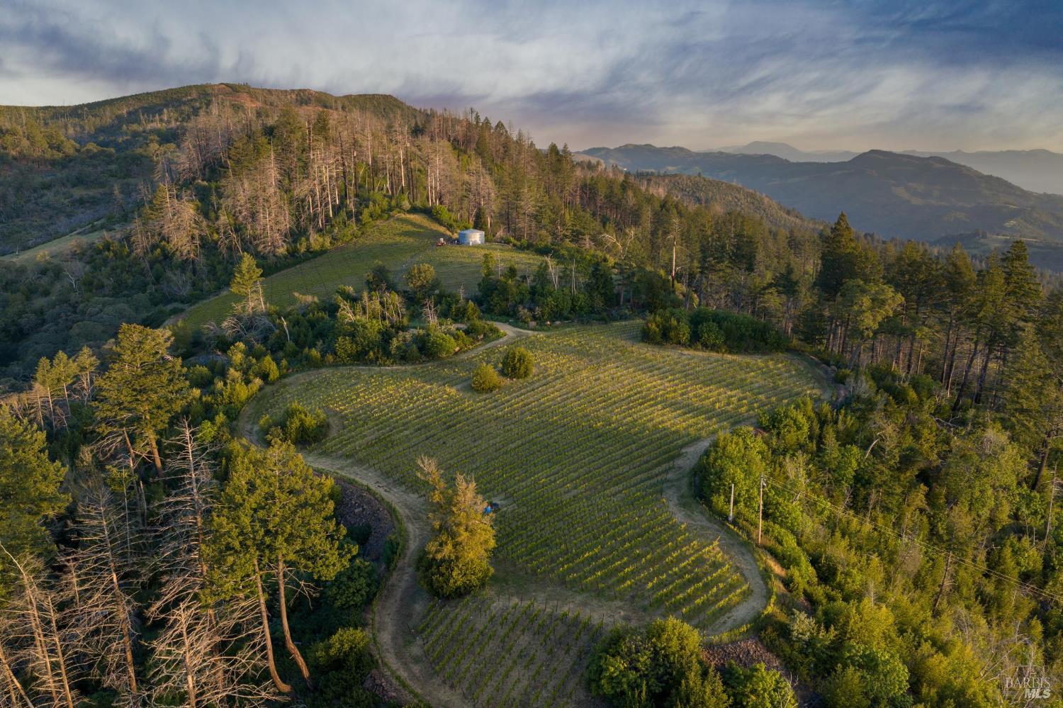 3801 Mount Veeder Road Road