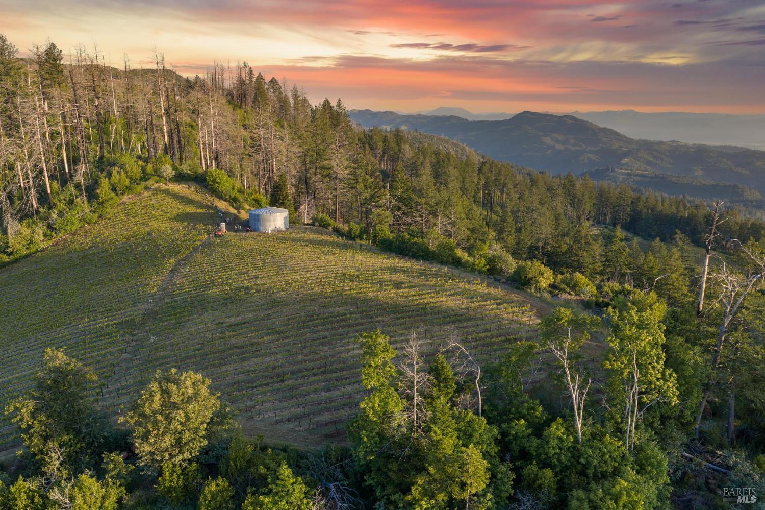 3801 Mount Veeder Road Road