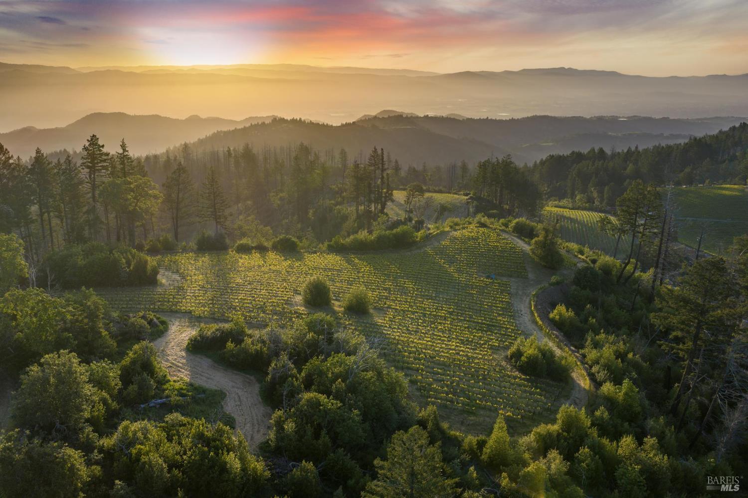 3801 Mount Veeder Road Road