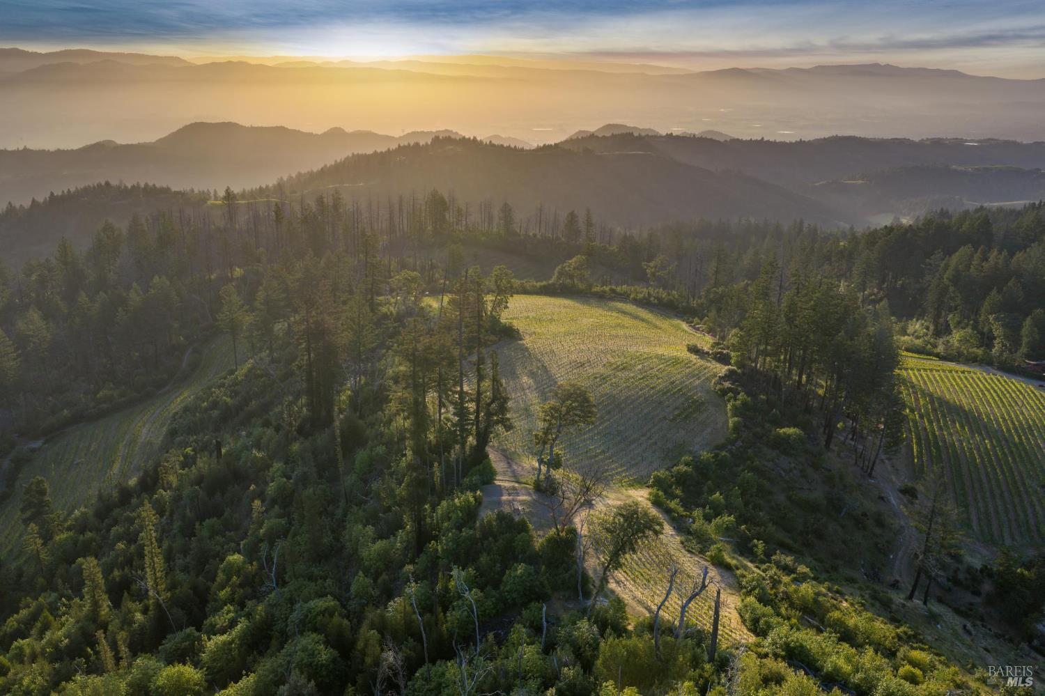 3801 Mount Veeder Road Road