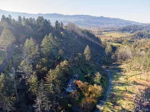 Photo of 1830 Howell Mountain Road, Saint Helena, CA 94574 (MLS # 326018924)
