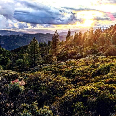 47700 BENTLEY RIDGE RD, COVELO, CA 95428 - Image b42eabe09b121b97d8c779fe3e845794/837909189