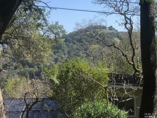 Cypress Drive
