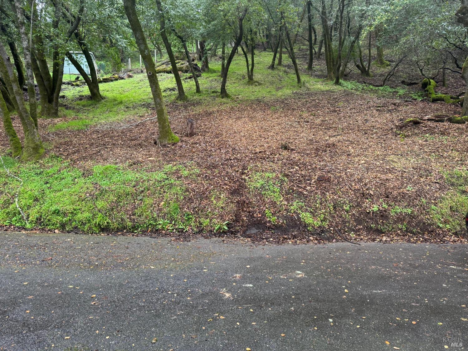 Cypress Drive