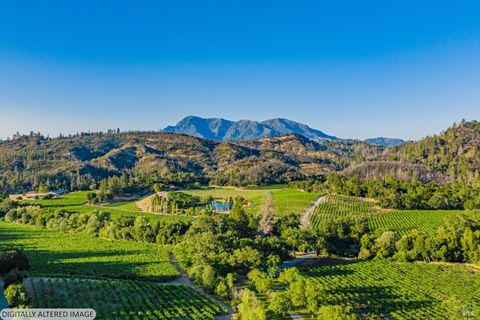 Photo of 8320 Franz Valley Road, Calistoga, CA 94515 (MLS # 326008543)