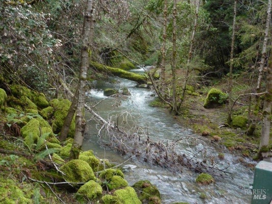 4225 REEVES CANYON RD, REDWOOD VALLEY, CA 95470 - Image c07e5b7e1aa2a3facb7b0a3a5fe5131f/1990131663