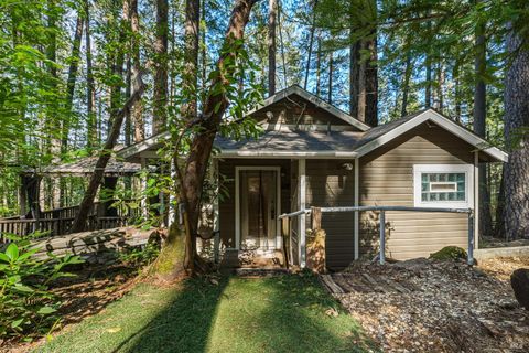 Photo of 16179 Madrone Boulevard, Cobb, CA 95426 (MLS # 326026188)