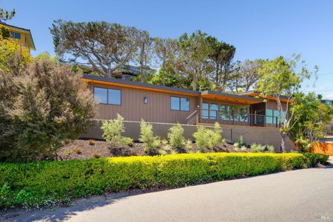 Photo of 240 Richardson Drive, Mill Valley, CA 94941 (MLS # 326038934)