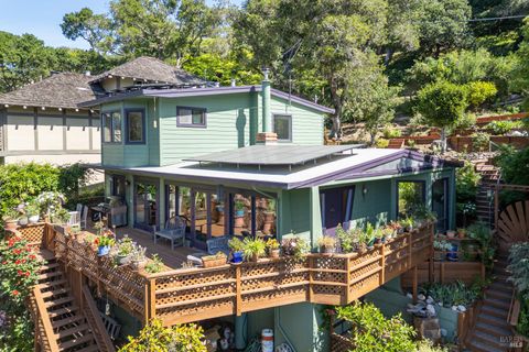 Photo of 244 Manor Drive, Mill Valley, CA 94941 (MLS # 326029811)