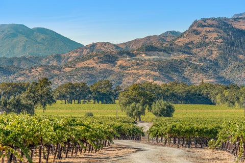 Photo of 3486 St. Helena Highway, Saint Helena, CA 94574 (MLS # 326058854)