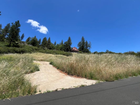 9284 BLEUSS WAY, COBB, CA 95426 - Image cc2d6bd5163ab6b18fea1c8593171a5a/979856460