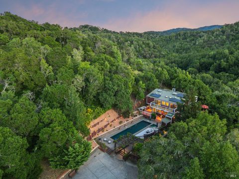 Photo of 1676 Indian Valley Road, Novato, CA 94947 (MLS # 326024790)