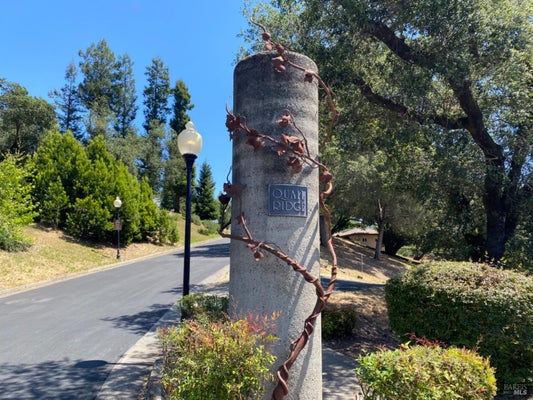 3829 MOSS HOLLOW CT, SANTA ROSA, CA 95404 - Image cdcf61b77f9f15f91bd88763b643fca4/1903473810