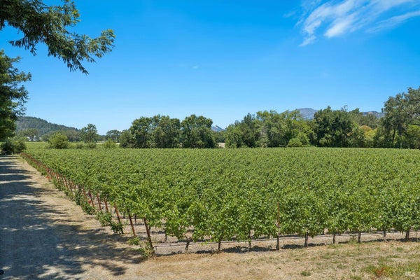 4210 SAINT HELENA HWY, CALISTOGA, CA 94515 - Image d16f2dd1a6d1e0e1bf9b68b7992a705c/125747585