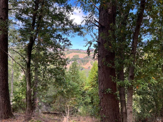 LAUREL AVE, WOODACRE, CA 94973 - Image d7c580e00183efd8a361ea756b452f13/3876352042