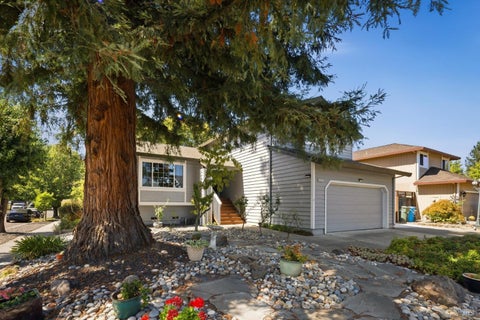 Photo of 3535 Banyan Street, Santa Rosa, CA 95403 (MLS # 326073426)