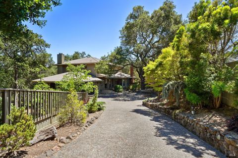 Photo of 10 Shari Court, Novato, CA 94947 (MLS # 326046073)