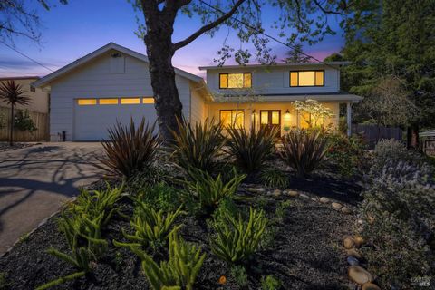 Photo of 727 Cindy Lane, Petaluma, CA 94952 (MLS # 326031313)