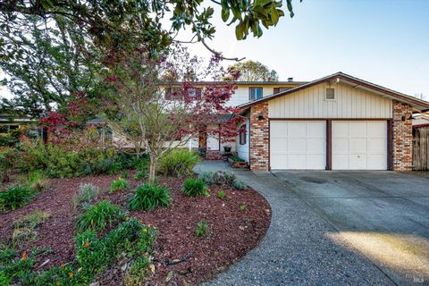 Photo of 2513 Rigdon Street, Napa, CA 94558 (MLS # 326020925)