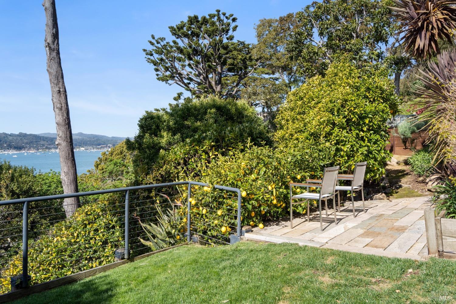 337 Belvedere Avenue