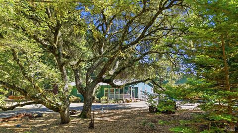 Photo of 17375 Willow Creek Road, Occidental, CA 95465 (MLS # 326054368)