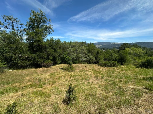CHERRY CREEK RD, CLOVERDALE, CA 95425 - Image fe0e88f38d1deddbd623a8c7cfef90bd/2182186088