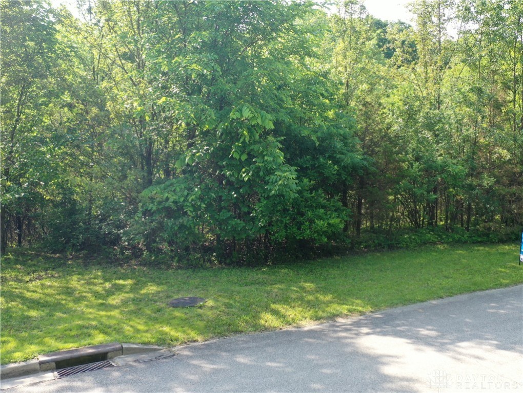 6340 Crimson Creek Drive, Dayton, Ohio image 8