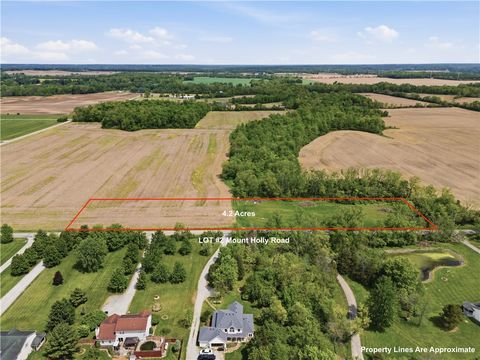Vacant Land For Sale - LOT 2 Mount Holly Road<br/> Warren County, Waynesville, OH 45068