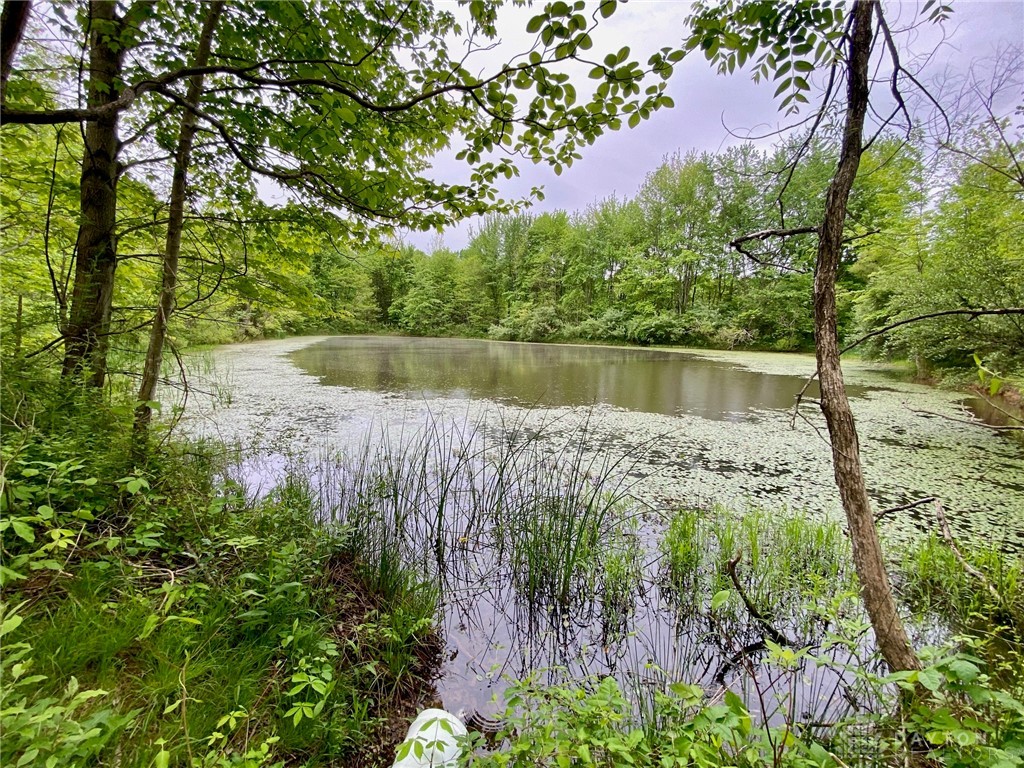 21 Ac Patton Road, Winchester, Ohio image 5