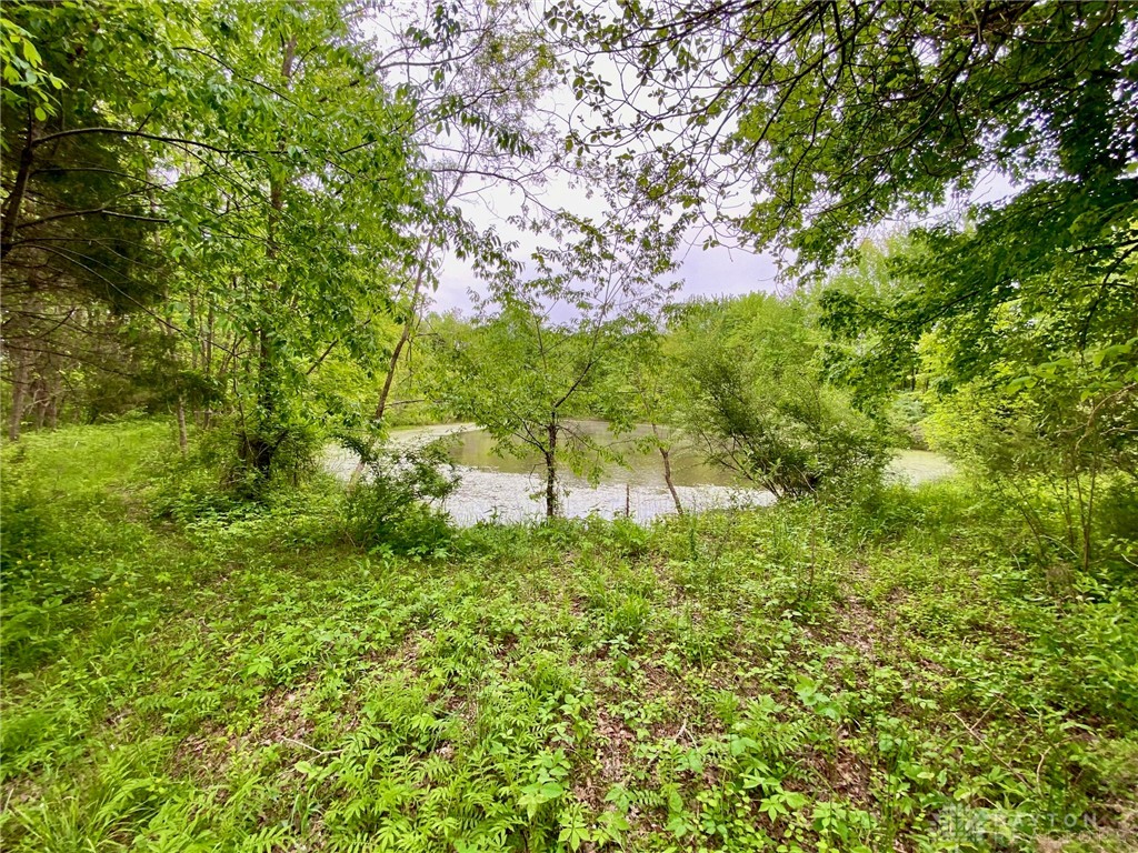 21 Ac Patton Road, Winchester, Ohio image 6