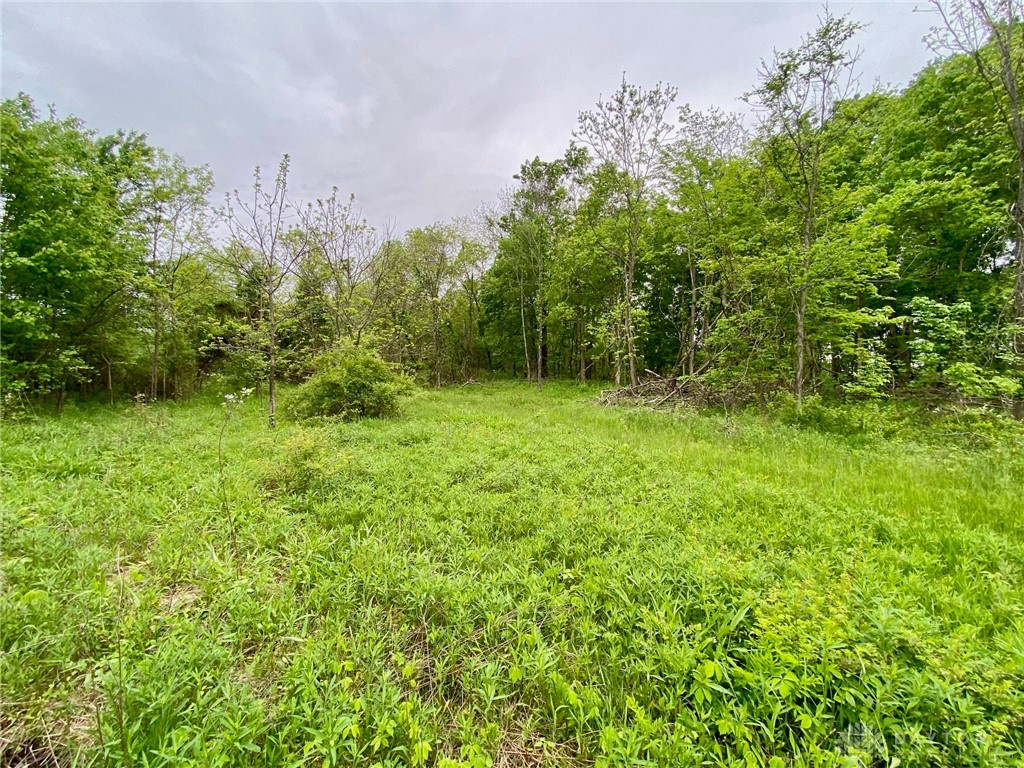 21 Ac Patton Road, Winchester, Ohio image 7
