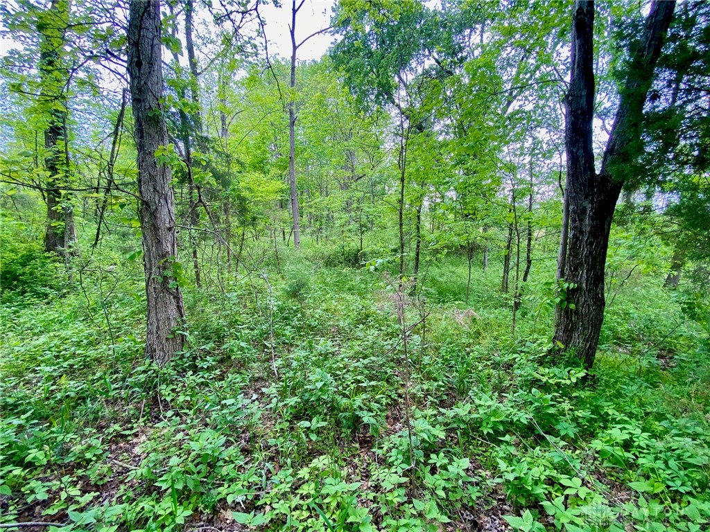 21 Ac Patton Road, Winchester, Ohio image 1