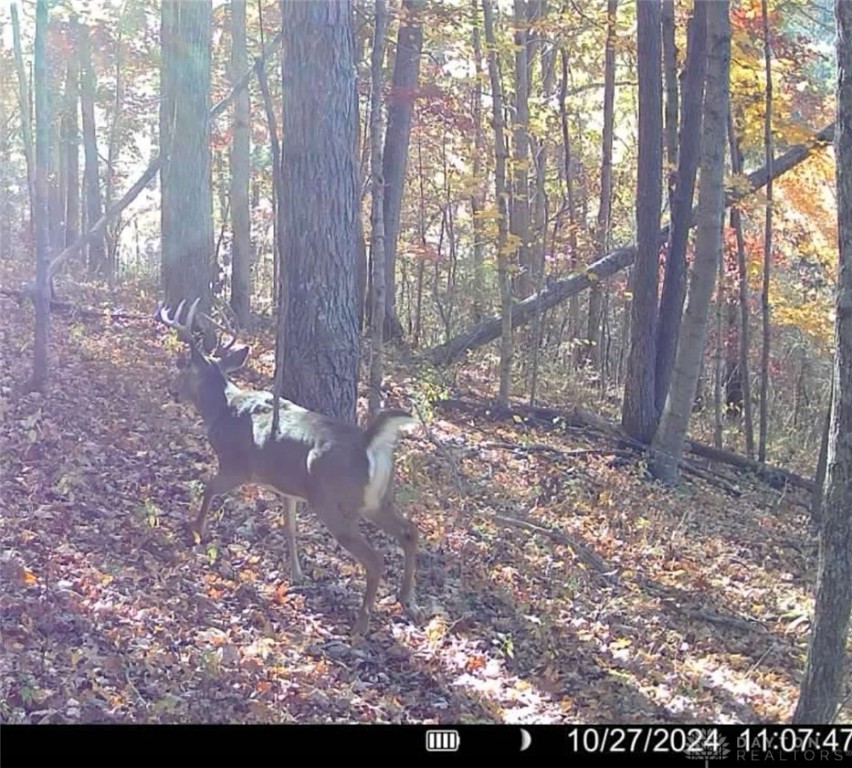 25ac Landon Lane, Manchester, Ohio image 17