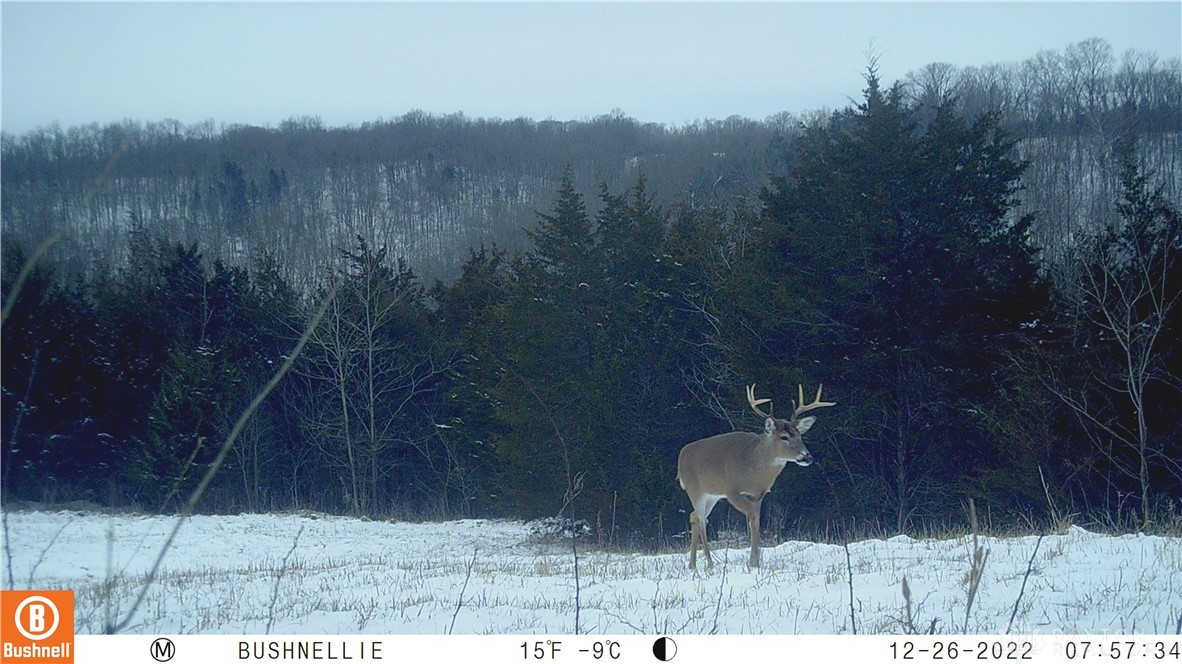 25ac Landon Lane, Manchester, Ohio image 24