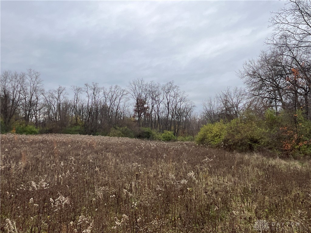 Dog Leg Road, Vandalia, Ohio image 8