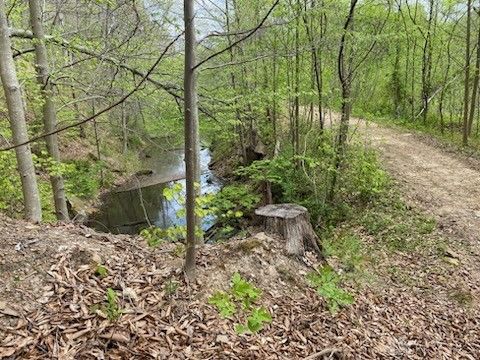 Vacant Land For Sale - Careys Run Pond Creek Road<br/> Scioto County, West Portsmouth, OH 45663