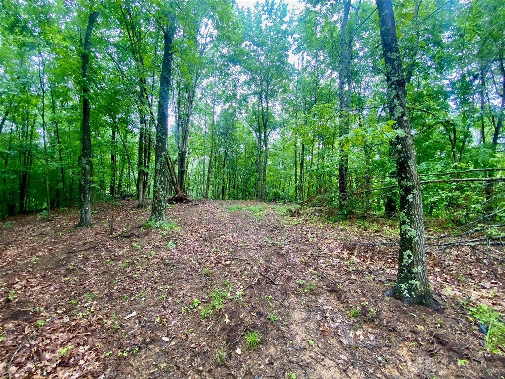 34292 State Route 41, Peebles, Ohio image 4