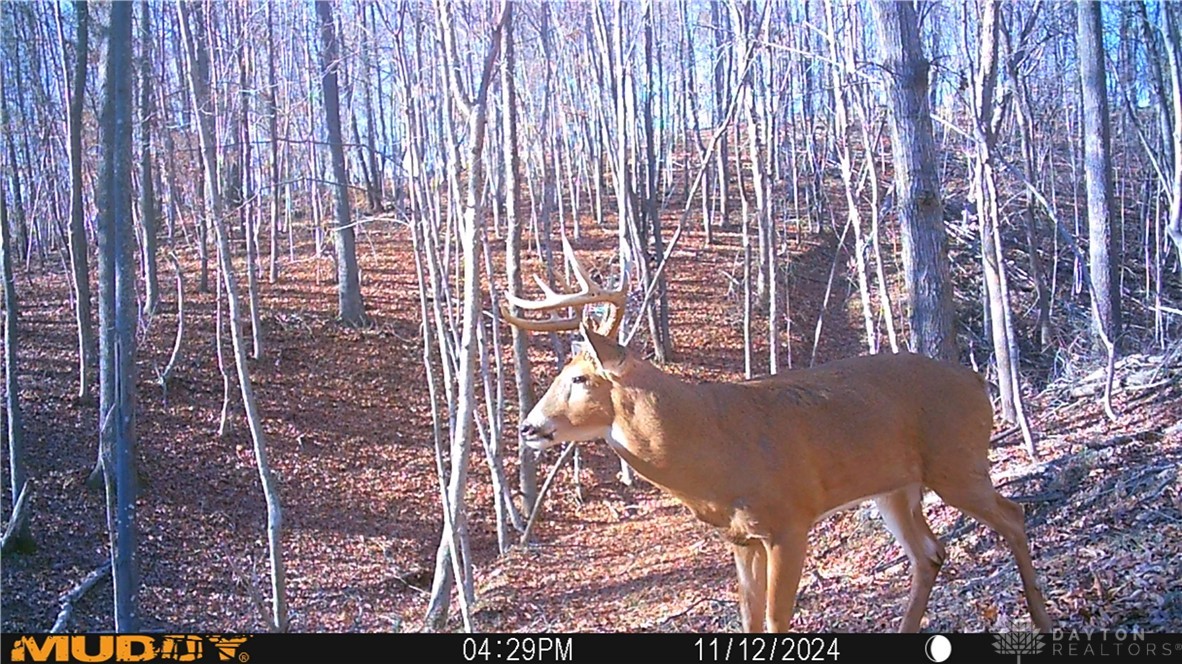 34292 State Route 41, Peebles, Ohio image 16