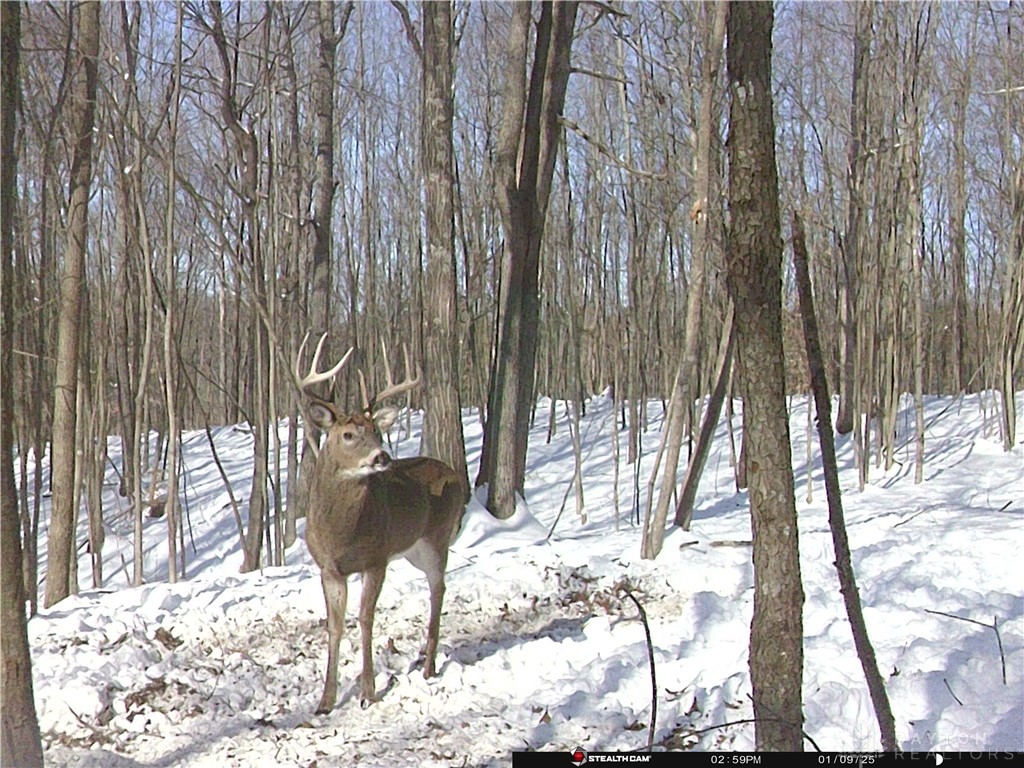 34292 State Route 41, Peebles, Ohio image 18