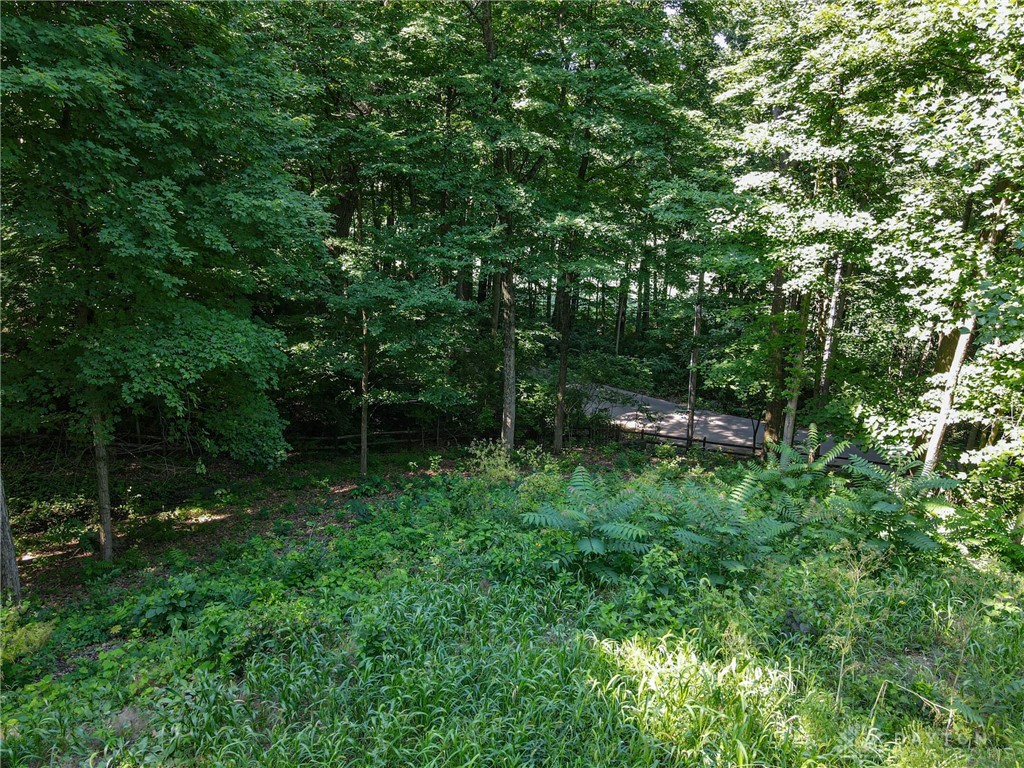 Deep Hollow Road, Oakwood, Ohio image 7