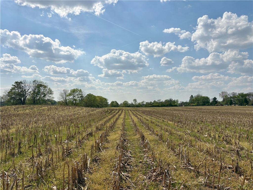 Lot 2 Tipp Elizabeth Road