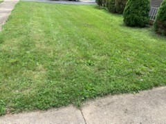 3512 Modena Street, Dayton, Ohio image 8