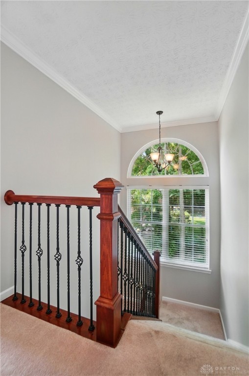10800 Meadow Hawk Court, Dayton, Ohio image 34