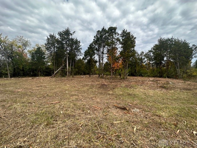 Lot 96 E White Cedar Way, Springboro, Ohio image 13