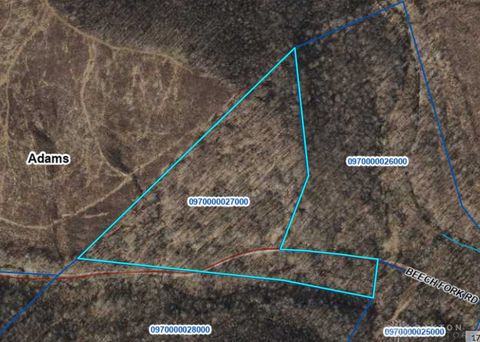 Vacant Land For Sale - 20 Beech Fork Road<br/> Adams County, Otway, OH 45657
