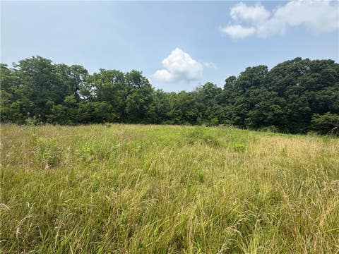 Vacant Land For Sale - Licklider Road<br/> Champaign County, Conover, OH 45317