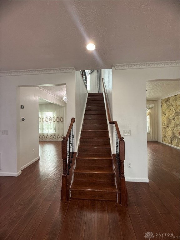 3109 Coneflower Drive, Tipp City, Ohio image 16